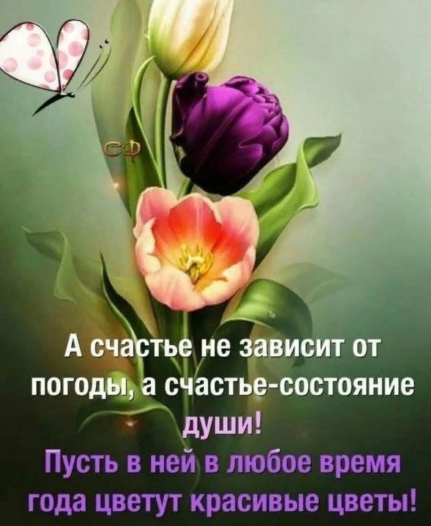 Мой  путь